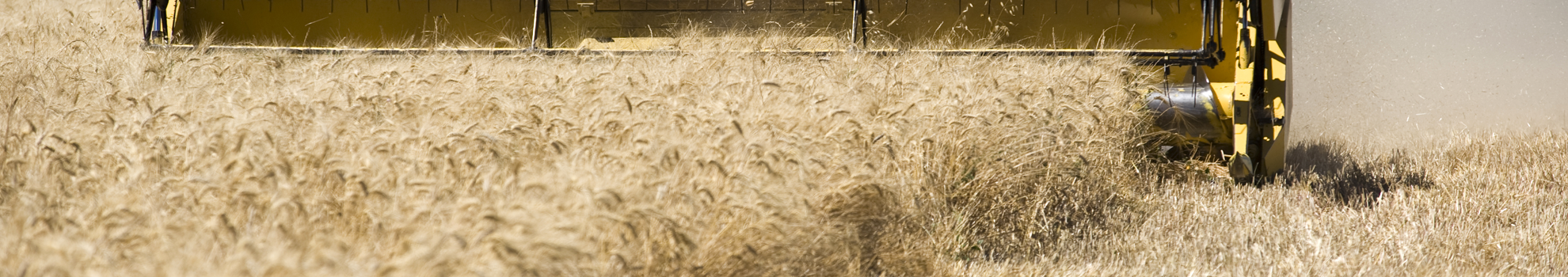 Céréales, protéagineux et soja