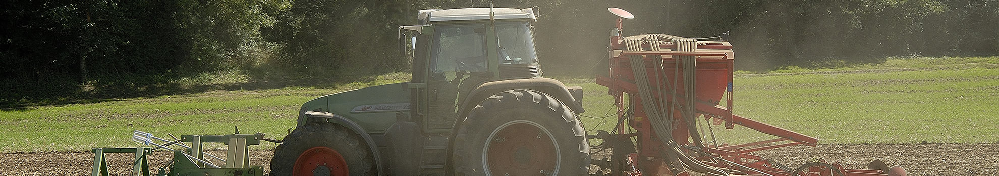 Semis de prairies sous couvert